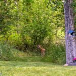 Bozeman MT 59718 - 24