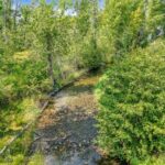 Bozeman MT 59718 - 25