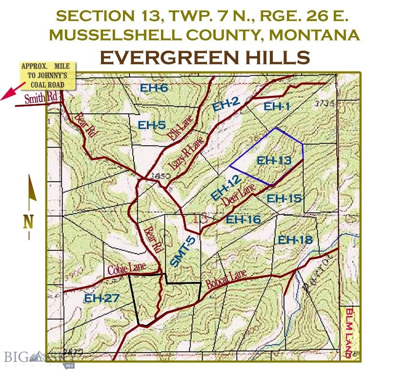 1 MT - 6