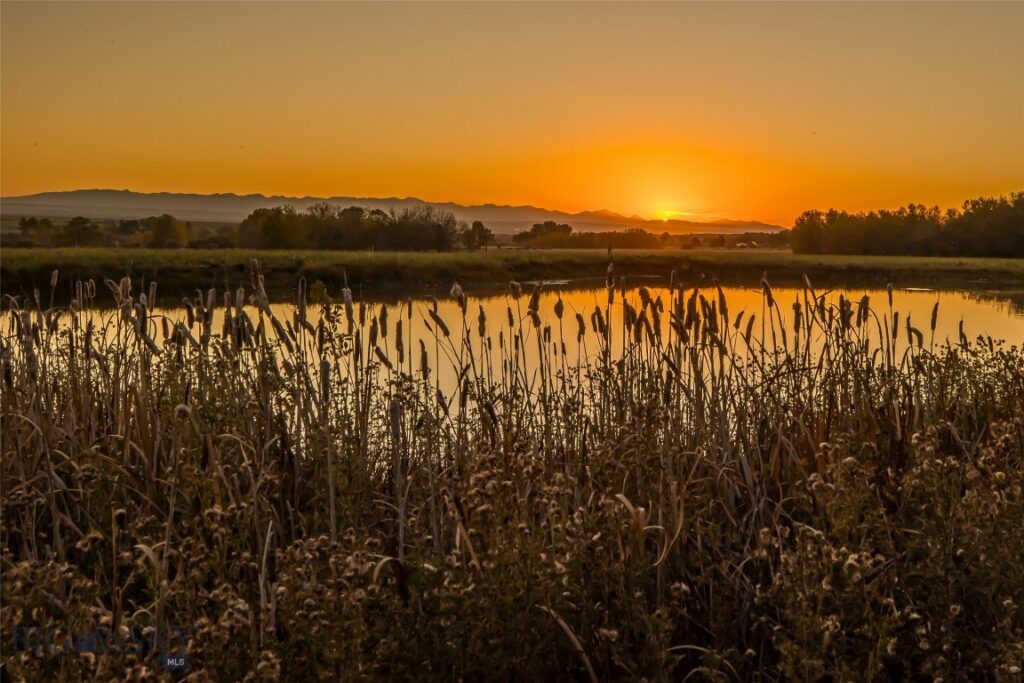 10669 Gee Norman Road