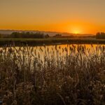 10669 Gee Norman Road