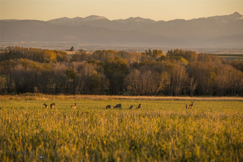 Belgrade MT 59714 - 21