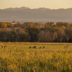 Belgrade MT 59714 - 21