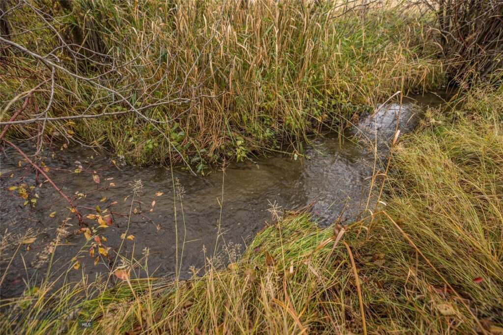 Belgrade MT 59714 - 22