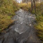 10669 Gee Norman Road