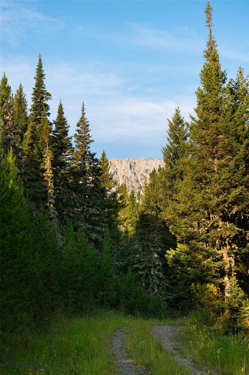 Bozeman MT 59715 - 5