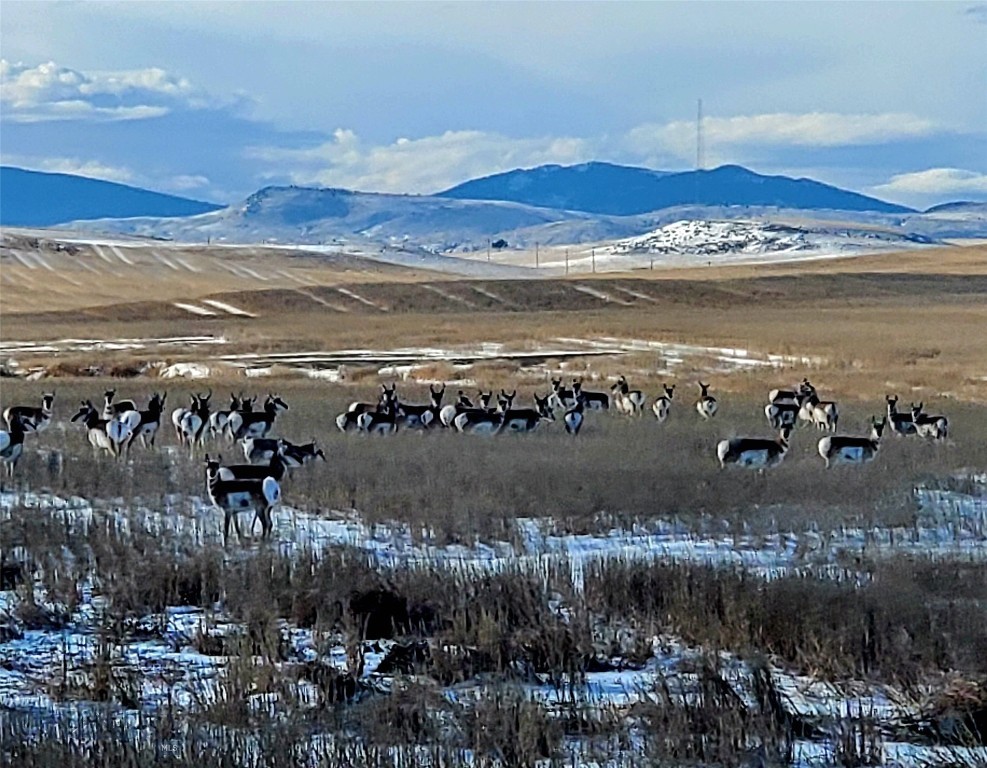 Three Forks MT 59752 - 19