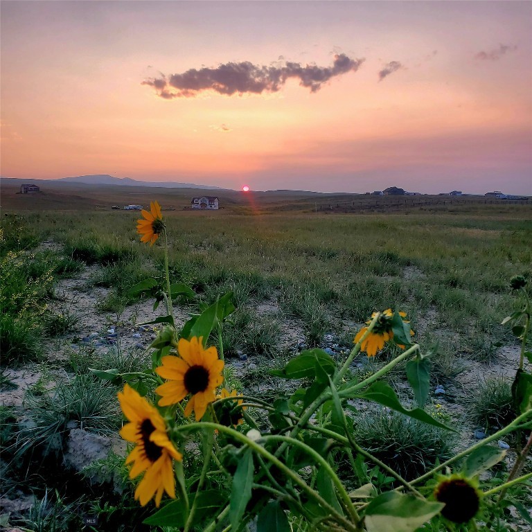 Three Forks MT 59752 - 24