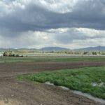 Bozeman MT 59718 - 4