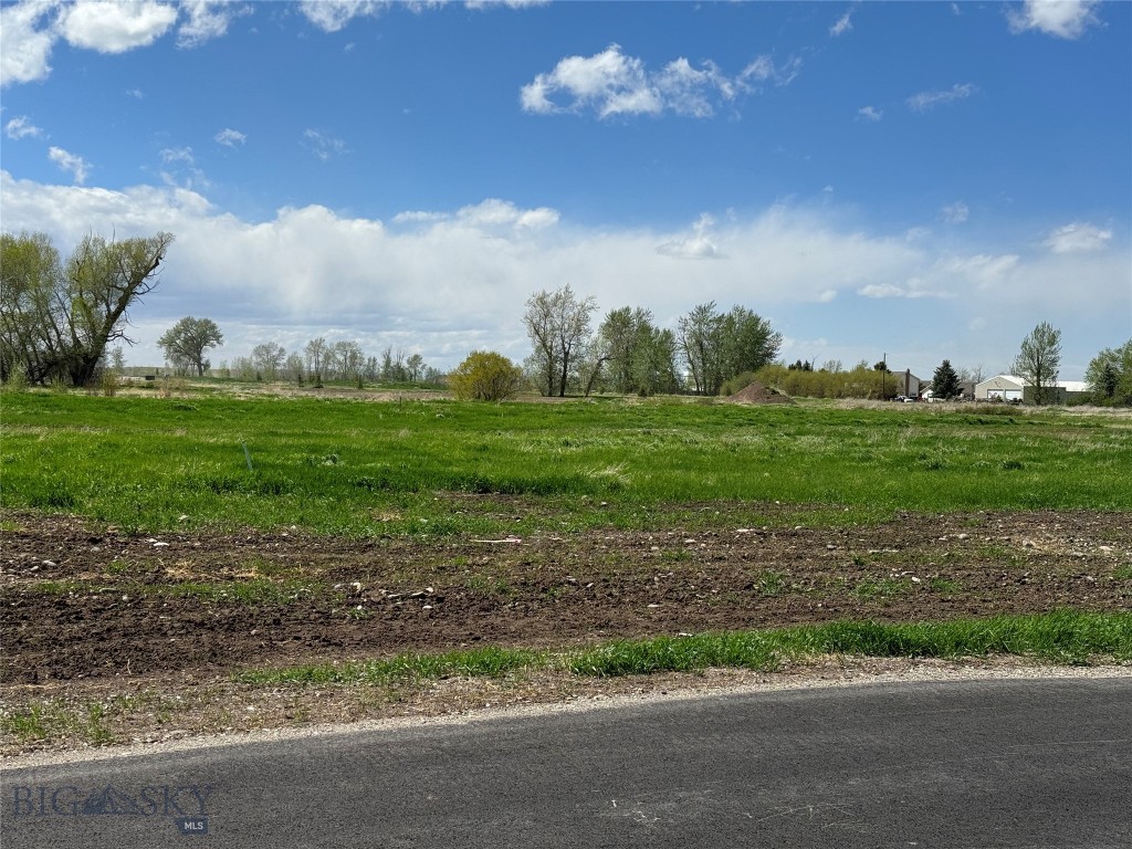 Bozeman MT 59718 - 5