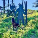 Bozeman MT 59715 - 25