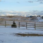 Livingston MT 59047 - 1