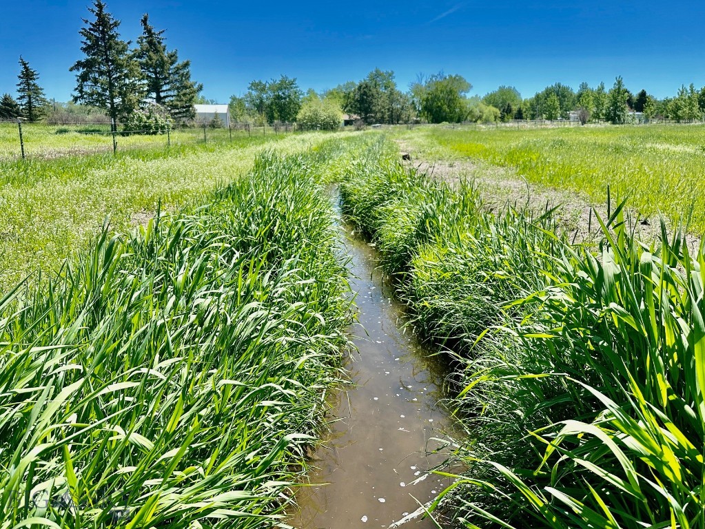 Bozeman MT 59718 - 6