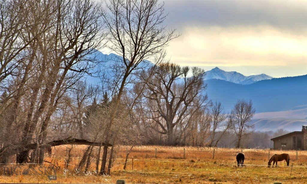 Bozeman MT 59718 - 12