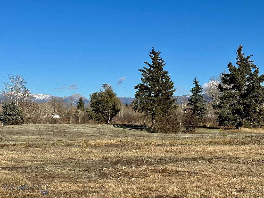 Bozeman MT 59718 - 21