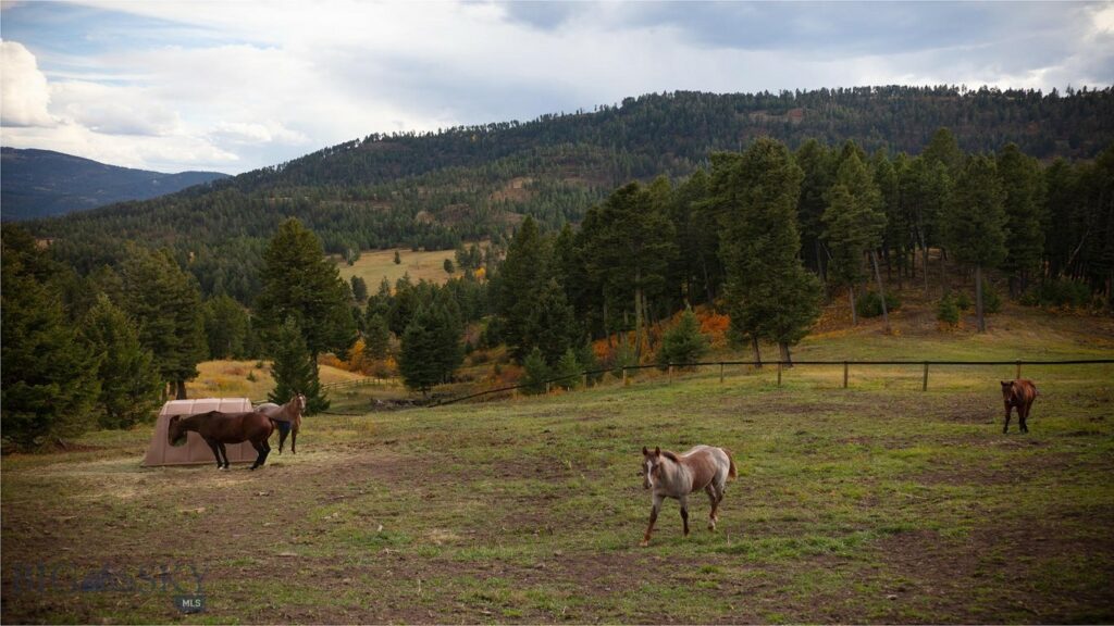 Bozeman MT 59715 - 16