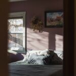 Bozeman MT 59715 - 10