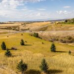 Bozeman MT 59715 - 6