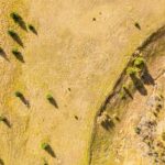 Bozeman MT 59715 - 12