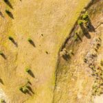 Bozeman MT 59715 - 13