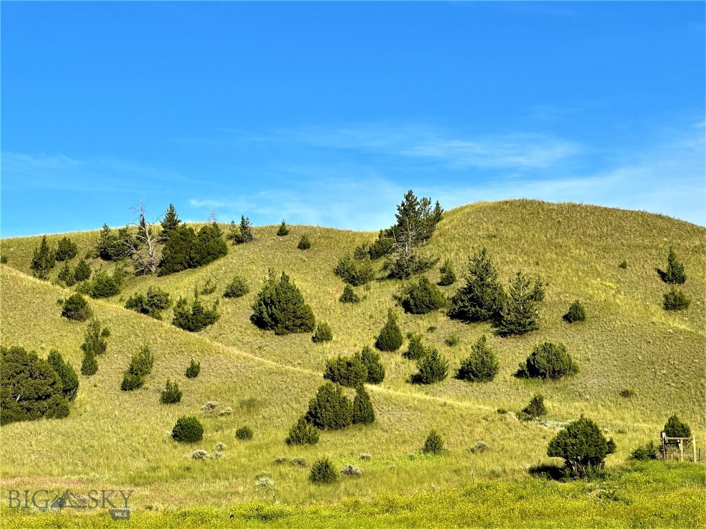 Three Forks MT 59752 - 17