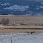 Bozeman MT 59718 - 21