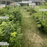 Bozeman MT 59718 - 3