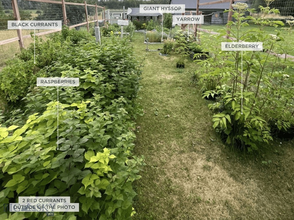 Bozeman MT 59718 - 3