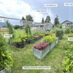 12977 Cottonwood Road