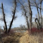 Bozeman MT 59718 - 17