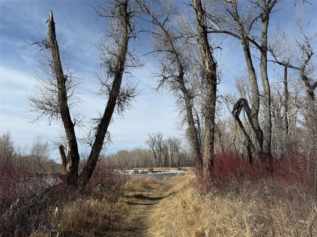 Bozeman MT 59718 - 17