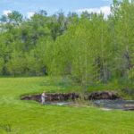 13011 Cottonwood Canyon Road