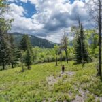 Bozeman MT 59718 - 22