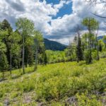 13011 Cottonwood Canyon Road