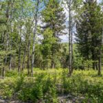 13011 Cottonwood Canyon Road