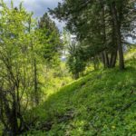 Bozeman MT 59718 - 24