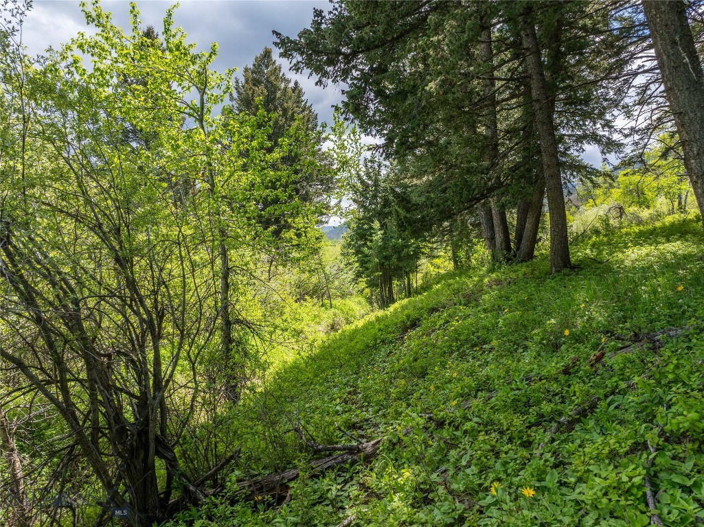 Bozeman MT 59718 - 24