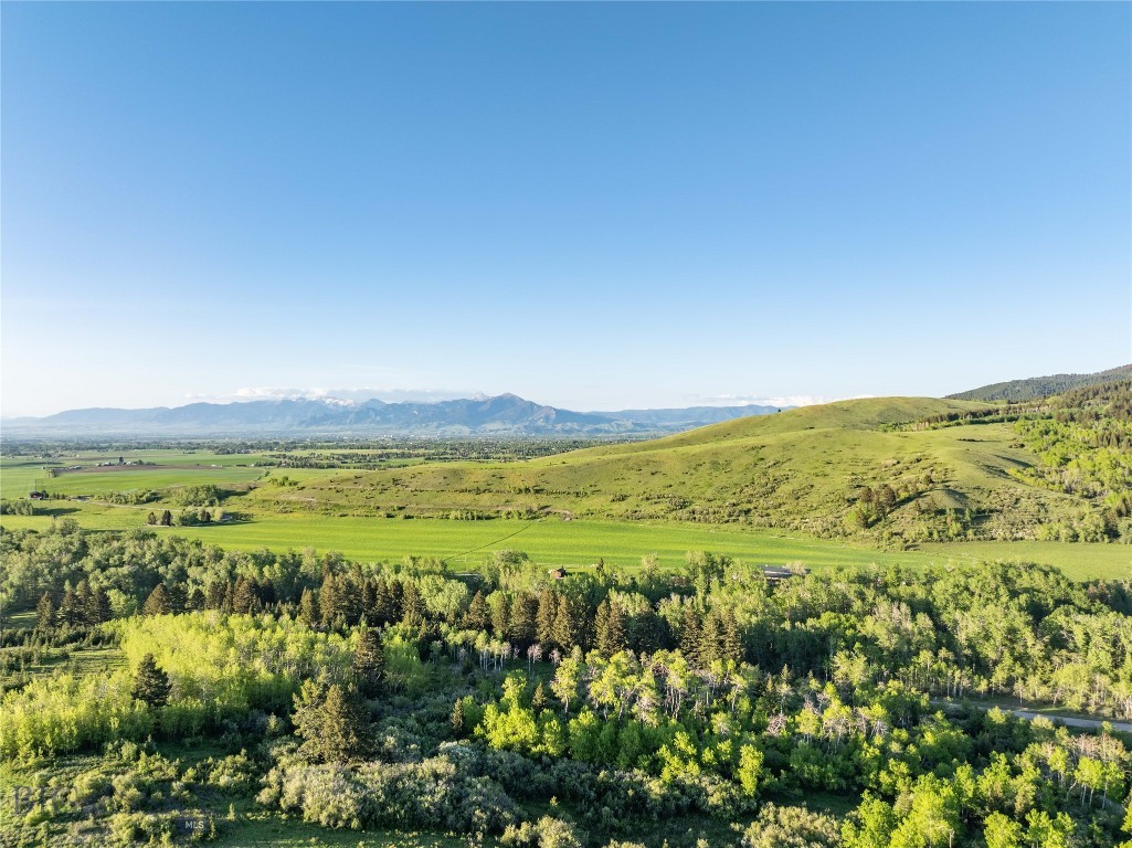 Bozeman MT 59718 - 25