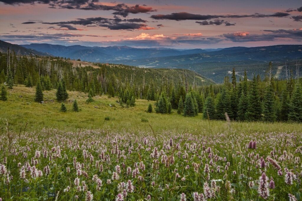 Big Sky MT 59716 - 12