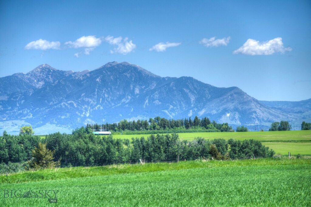 Bozeman MT 59718 - 1