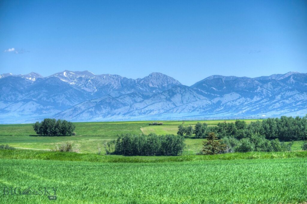 13830 (Tract D) Cottonwood Road