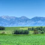 13830 (Tract D) Cottonwood Road