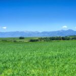 13830 (Tract D) Cottonwood Road