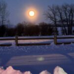 Bozeman MT 59718 - 11