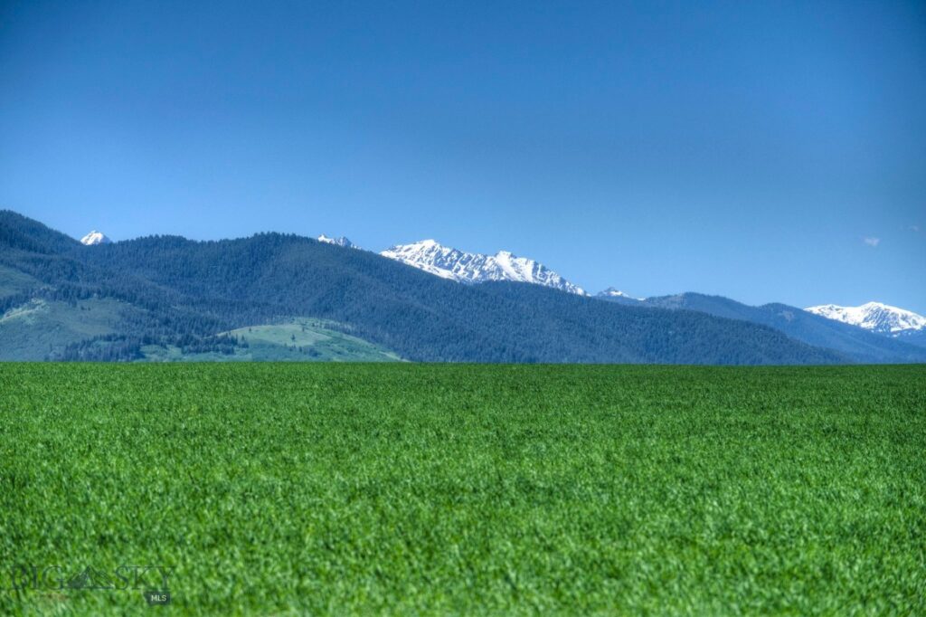 Bozeman MT 59718 - 2