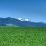 Bozeman MT 59718 - 2