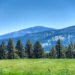 Bozeman MT 59718 - 3