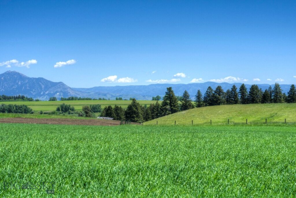 13830 (Tract D) Cottonwood Road