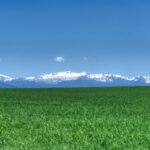 Bozeman MT 59718 - 4