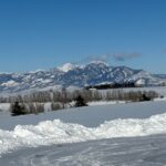 Bozeman MT 59718 - 15